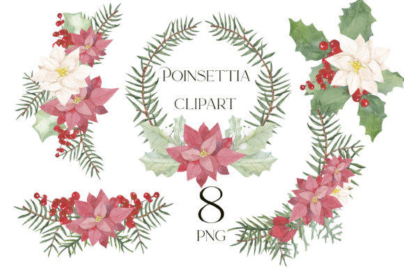 Poinsettia Christmas Clipart Png: Festive Illustrations